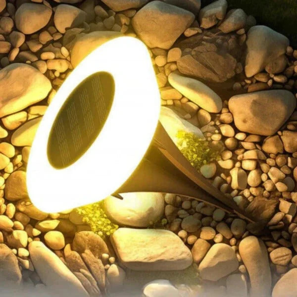 Solar Pathway Lights Dusk-to-Dawn Rechargeable Set of 4