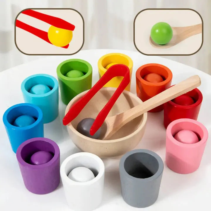 Sorting Toy Wooden Color Matching Set