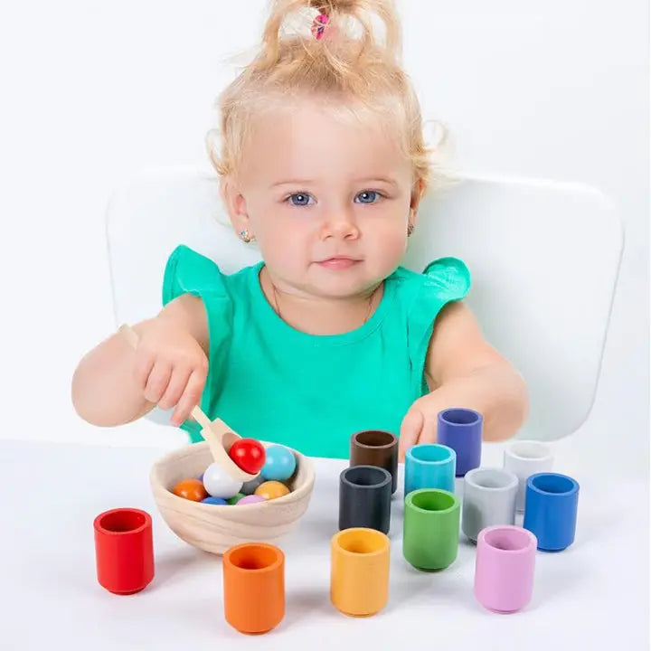 Sorting Toy Wooden Color Matching Set