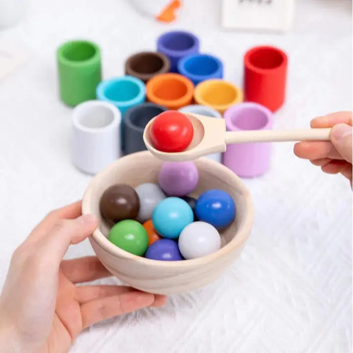 Sorting Toy Wooden Color Matching Set