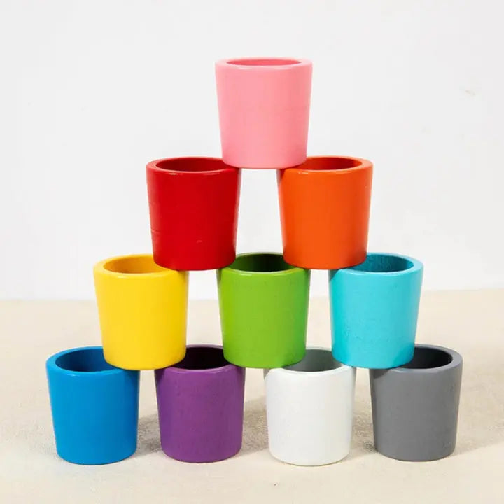 Sorting Toy Wooden Color Matching Set