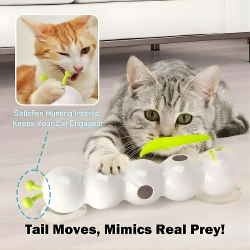 Wall-Mounted Cat Toy Motorized Rotating Suction Mount USB Rechargeable