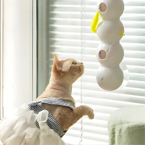 Wall-Mounted Cat Toy Motorized Rotating USB Rechargeable Suction Mount